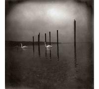 Om - Conference Of The Birds [VINYL]
