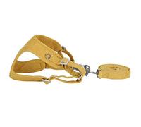 Omabeta No Choking Dog Harness Adjustable and Comfortable for Small Medium Pets Made of Soft Suede with Traction Rope 1 Pack (XXS)