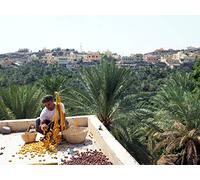 Oman - Al Hajar Mountains