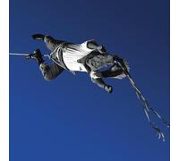 Omar Rodriguez-Lopez – Ensayo De Un Desaparecido – 12-inch Vinyl – US Import – Warner Music