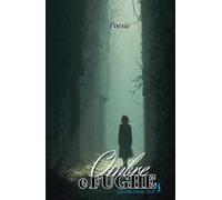 Ombre e fughe: Schegge di luce, tra le ombre della vita