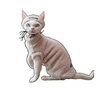 OMEM 6 Colors Cat Hat and Tank Top Set, Soft Breathable Spandex Cat Clothes for Small to Large Cats, Cute Outdoor Outfit for Photos Travel Walks XS to XXXL (Milk White,2XL-)