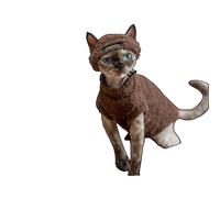 OMEM 6 Colors Cat Hat and Tank Top Set, Soft Breathable Spandex Cat Clothes for Small to Large Cats, Cute Outdoor Outfit for Photos Travel Walks XS to XXXL (Red,XL-)
