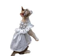 OMEM Lace Cat Dress for Sphynx Devon Rex, Floral Hollow Out with Ruffle Hem, Pearl Button, Breathable Cotton Summer Princess Outfit for Hairless Cats, S to XXXL (M+,White)