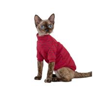 OMEM Polka Dot Cat T Shirt for Sphynx Devon Rex, 12 Colors Cotton Long Sleeve Turtleneck, Basic Fall Winter Outfit for Hairless Cats, Warm Everyday Top XS to XXXL (XXL-,Magenta)