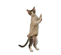 OMEM Solid Color Cat T Shirt for Sphynx Devon Rex, 4 Colors Beige Cream Pink Light Green, Mock Neck Basic Tee for Hairless Cats, Breathable Summer Top XS to XXXL (Khaki,S-)