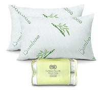 OMEO 2 Pack Queen Size Rayon Derived from Bamboo Pillow for Sleeping Shredded Memory Foam Bed Pillows for Side, Back and Stomach Sleepers, Soft, Cooling, Adjustable and Washable Cover 20'' x 30''