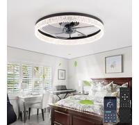 OMGPFR 50CM Modern Ceiling Fan with Light, LED Dimmabl Fan Lamp with Remote Control, 30W 3000lm Dimming Lighting Fixture for Living Room Bedroom Ceiling Lights, Mute 6 Speeds, Reversible, Black A
