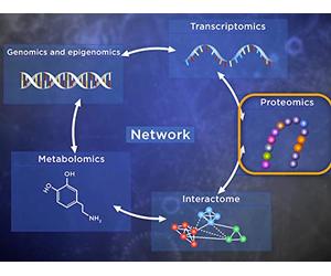 Omics: Genomics, Proteomics, Transcriptomics