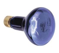 Omnilux 89510005 R80 UV Light Bulb 75W E-27 Illuminates UV Materials