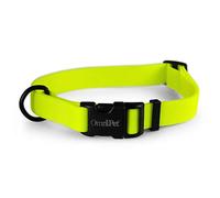 OmniPet Carnival Dog Collar, Neon Yellow, 1" Wide, Fits 18-26" Neck Size|Waterproof & Odor-Resistant Beta BioThane Pet Collar, Made in USA
