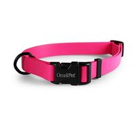OmniPet Carnival Dog Collar, Raspberry, 3/4" Wide, Fits 14"-20" Neck Size|Waterproof & Odor-Resistant Beta BioThane Pet Collar, Made in USA