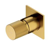 Omnires CT8045GLB Shower tap which is Mount Under The Plaster Contour-Brushed gold-CT8045GLB, Gold