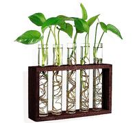 Ompinda Plant Propagation Station, 5 Glass Test Tube Vase with Wooden Holder Wall Hanging Plant Terrarium Perfect for Home/Office/Garden Decor