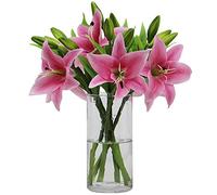 Omygarden 6pcs Pink Artificial Tiger Lily Flower, Fake Plastic Lily Flower Bouquet, Home Office Wedding Party Decoration, WITHOUT VASE