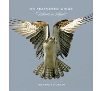 On Feathered Wings: Birds in Flight