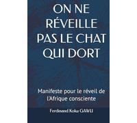 ON NE RÉVEILLE PAS LE CHAT QUI DORT: Manifeste pour le réveil de l'Afrique consciente