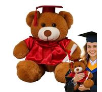 on School Leaving Certificate - Plush Bear, Talarbär | Graduation Memorial, Sweet and Soft Cushion for Friends, Children, School Celebration Gift, Partner Decoration