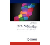 On The Agglomeration Economies: Microfoundations and Some Other Aspects