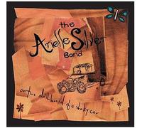 On the Dashboard of a Shaky Car