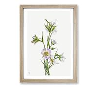On The Road to Monument by Mary Vaux Walcott Framed Print | A2 Oak Framed Wall Art | Ready to Hang | Modern Cityscape Picture | Living Room Bedroom Lounge Office