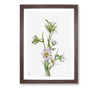On The Road to Monument by Mary Vaux Walcott Framed Print | A2 Walnut Framed Wall Art | Ready to Hang | Modern Cityscape Picture | Living Room Bedroom Lounge Office