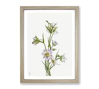 On The Road To Monument Flowers By Mary Vaux Walcott Vintage Framed Print | A3 Oak Framed Wall Art | Ready to Hang | Classic Floral Picture | Living Room Bedroom Lounge Office