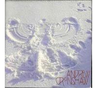 On the Shoulders of the Great Bear by Andrew Cronshaw