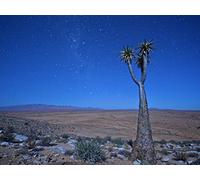 On the Spoor of the Big Snake - Part 1: The Serpent’s Nest