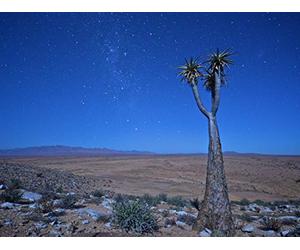 On the Spoor of the Big Snake - Part 1: The Serpent’s Nest