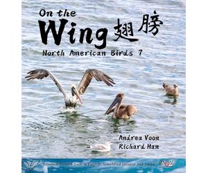 On the Wing 翅膀 - North American Birds 7: Bilingual Picture Book in English, Simplified Chinese and Pinyin