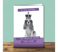On Your Birthday You Should Be Treated Like A King Birthday Card