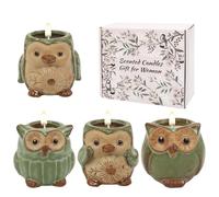 ONBAGLST Scented Candles in Glass, Scented Candle Gift Set for Stress Relief, 4 Candle Set for Women and Men, Christmas Candles, Birthday Candle Gifts for Women (Penguin Decoration)