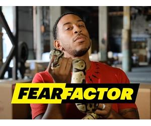 Once Bitten, Twice Trapped