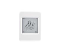 Onchdbfhuu --EPaper 2.4GHz WiFi BLE5 Dual-Mode Development Board 1.54-Inch E Ink Display(200x200) AIoT Support Resolution