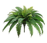 One 25 Inch Long Silk Artificial Boston Fern Bush with a 40 Inch Spread from Tip to Tip When Spread Out from The Middle. 48 Branches
