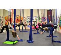 One 60 Minute Sling Fitness with Joe Session - 2 Adults