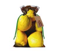 One Basket Lemons Print Christmas Drawstring Gift Bags With Cards For Xmas Party Decorations Holiday