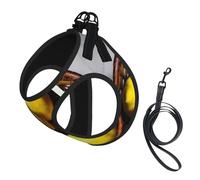 One Basket Lemons print Dog Harness and Leash Set, Reflective Adjustable Puppy Vest for Small Medium Large Dogs, Cats