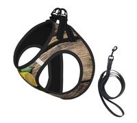 One Basket Lemons print Dog Harness and Leash Set, Reflective Adjustable Puppy Vest for Small Medium Large Dogs, Cats