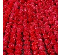 ONE BEST DEAL OBD 5 x Artificial Marigold Flowers Faux Garland Flowers 5 Feet Indian Marigold Garland for Diwali Pooja Decoration Traditional Wedding Home Mehndi Decor & Outdoor Party (Red)