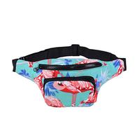 One BFD Fanny Pack Waist Pack Bumbag Bum Bag Running Belt for Ladies Men Kids Festival Causal Holiday Wipe Clean Adjustable Strap (Flamingo Aqua)