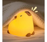 One bird (Capybara Night Light Cute Night Light for Kids - Food - Grade Silicone, Type - C Charging, Modes Switchable by Kneading - Ideal for Babies' & Children's Rooms