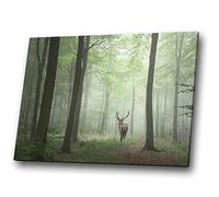 One Blank Wall A879 Stag Deer Forest Green Funky Animal Canvas Wall Art Large Picture Prints