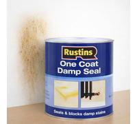 One Coat Damp Seal White 500ml - Damp Proof Paint & Mould Protection - Anti Mould Paint for Bathroom & Interior Walls - White Sealant to Cover Damp Stains
