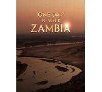 One Day in Wild Zambia