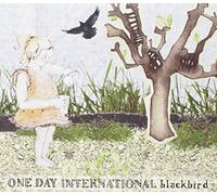One Day International - Blackbird