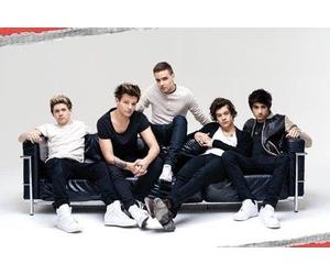 One Direction Sofa Maxi Poster, Multi-Colour