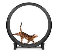 One Fast Cat - Cat Exercise Wheel - Gen. 7 - Safe 48" Diameter - Made in The USA - Black Wheel with Black Felt Traction Pads and Solid Inline Wheels
