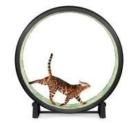 ONE FAST CAT - Cat Exercise Wheel - Gen. 7 - Safe 48" Diameter - Made in The USA - Black Wheel with Jungle Leaves Foam Traction Pads